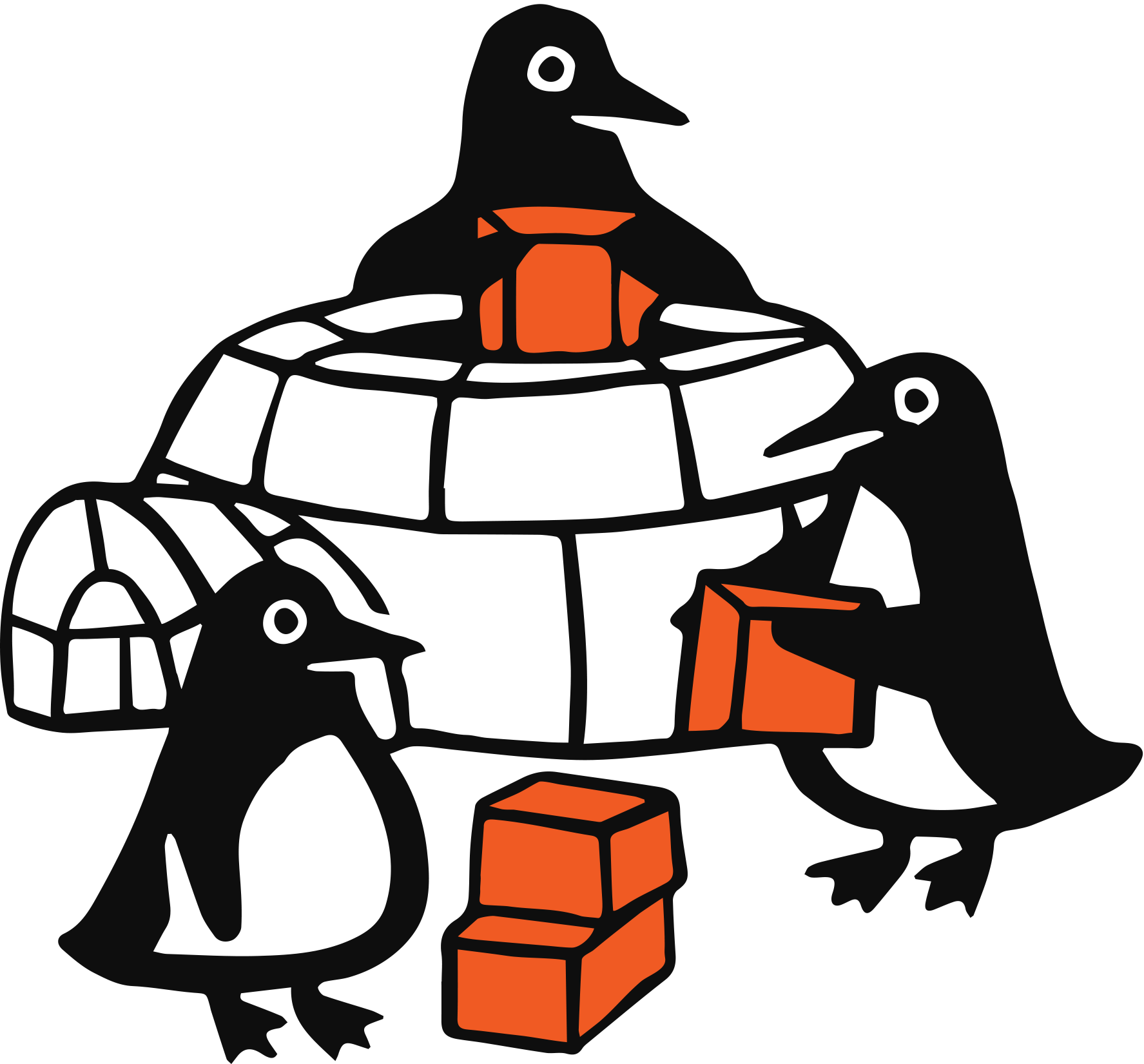 penguins building an igloo
